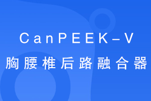 CanPEEK-V׵·ں